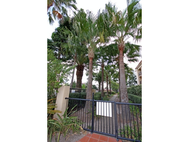 6/61 North Street, Southport QLD 4215