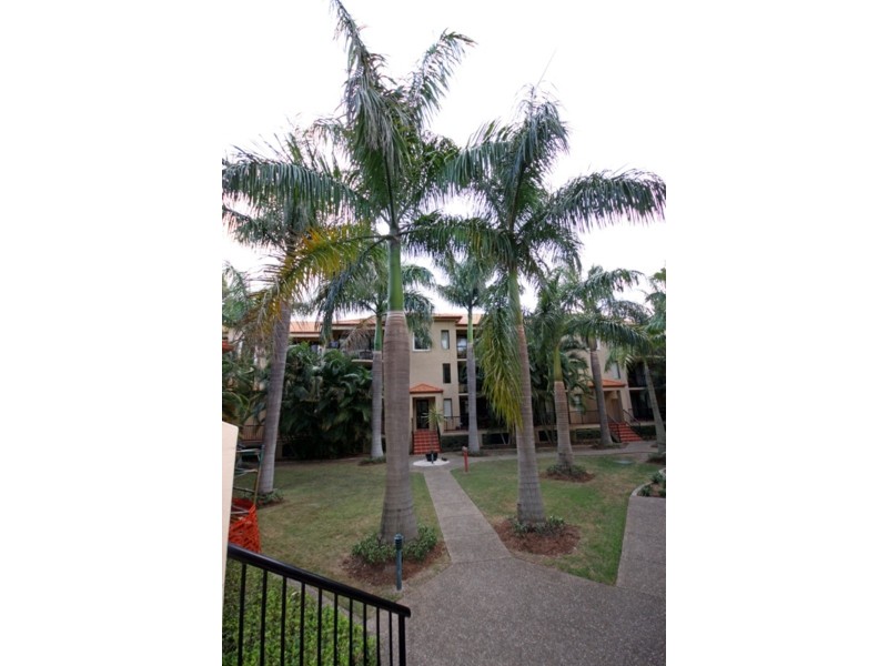 6/61 North Street, Southport QLD 4215