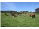 82 Fourfoot Road, Geeveston TAS 7116