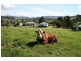 82 Fourfoot Road, Geeveston TAS 7116