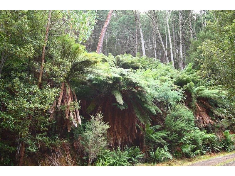 72 Chambers Road, Franklin TAS 7113