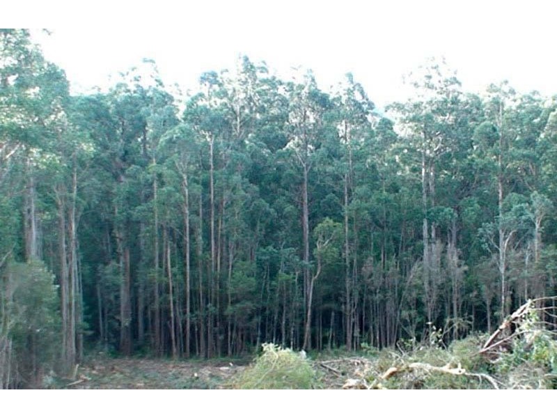 Lot 3 Huon Highway, Southport TAS 7109