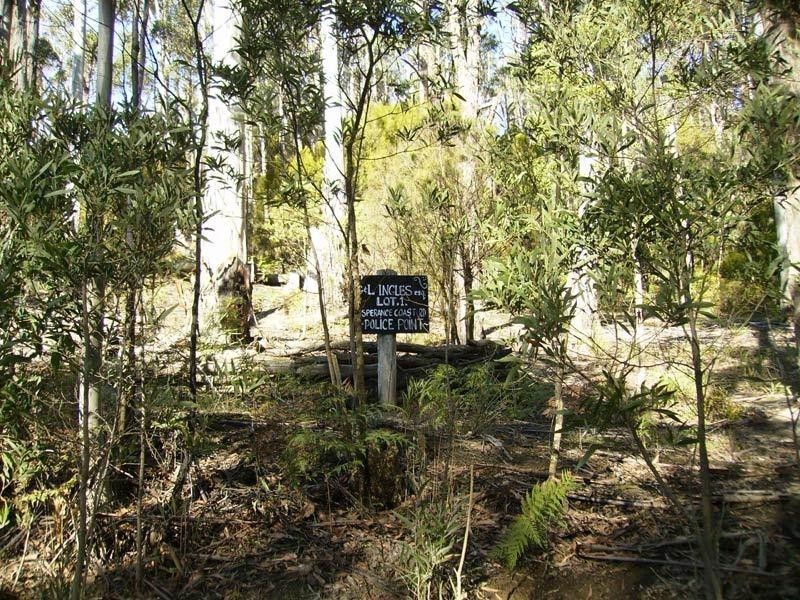 48 Klasens Road, Police Point TAS 7116