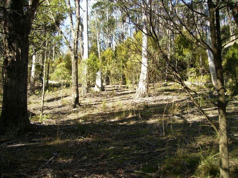 48 Klasens Road, Police Point TAS 7116