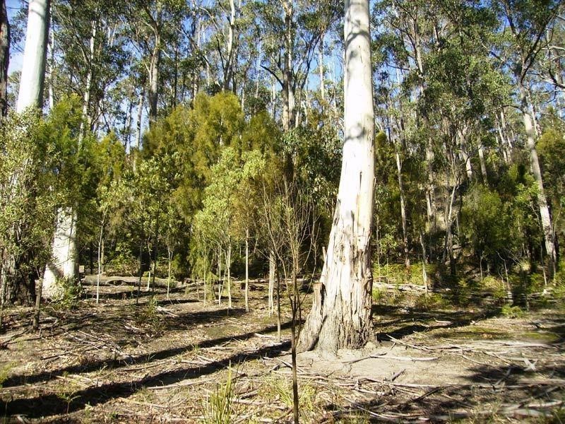 48 Klasens Road, Police Point TAS 7116