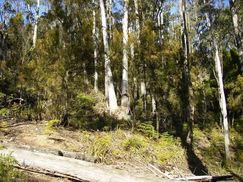 48 Klasens Road, Police Point TAS 7116