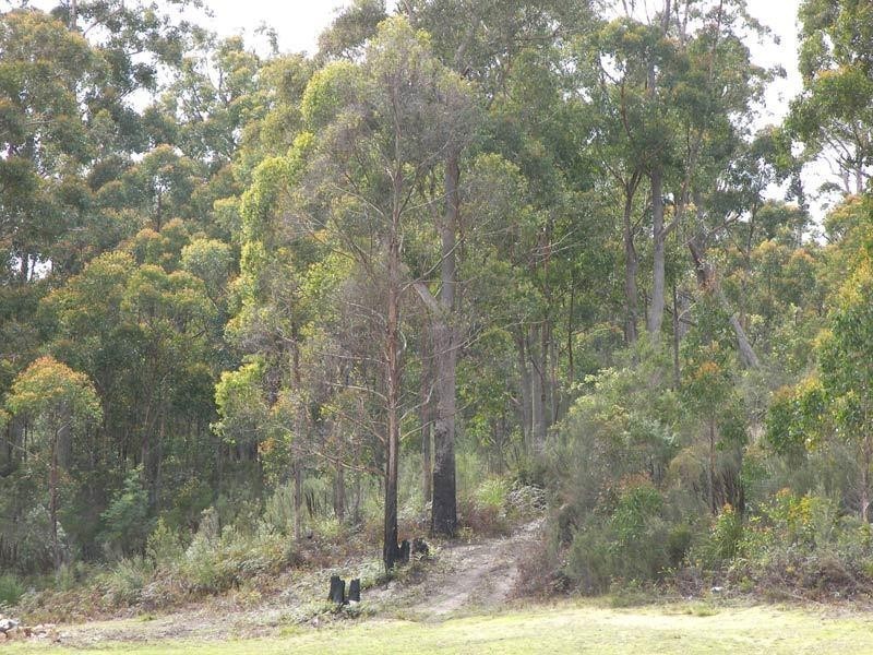 RA Hastings Esplanade, Hastings TAS 7109