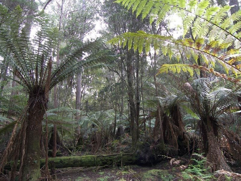 RA Hastings Esplanade, Hastings TAS 7109