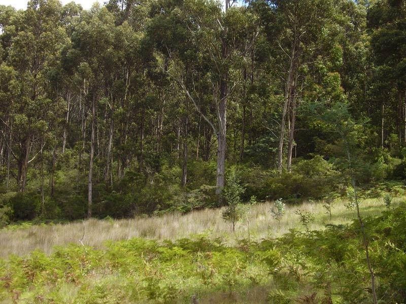 163 Morrisons Road, Huonville TAS 7109