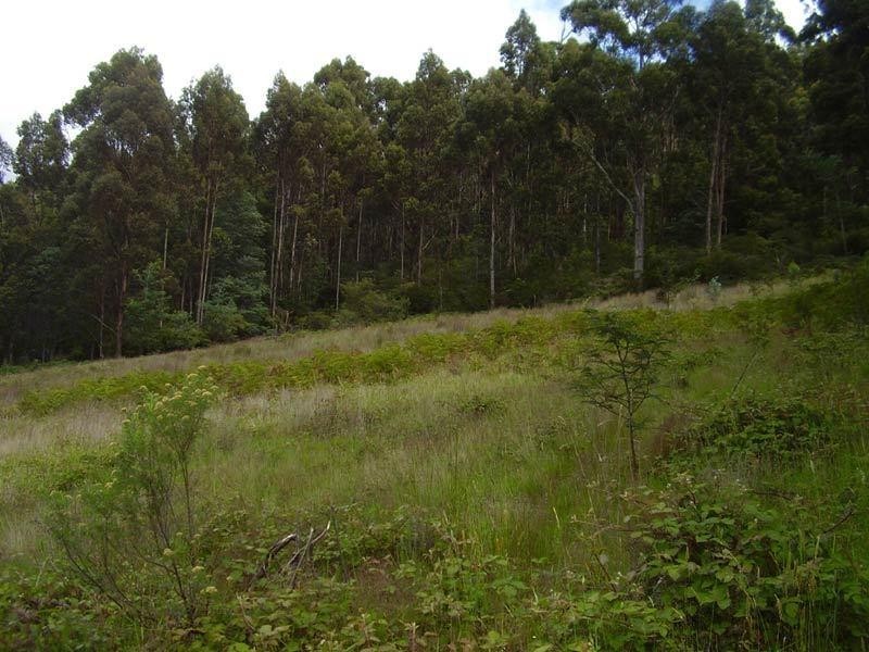 163 Morrisons Road, Huonville TAS 7109