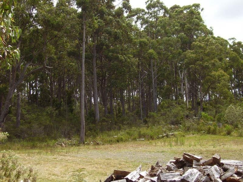 254 Kingfish Beach Road, Southport TAS 7109