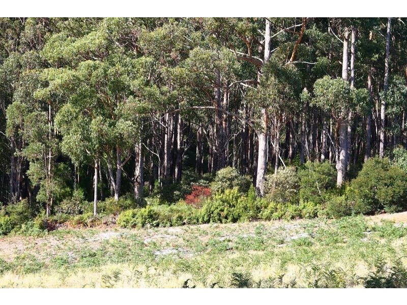 1650 Cygnet Coast Road, Cradoc TAS 7109