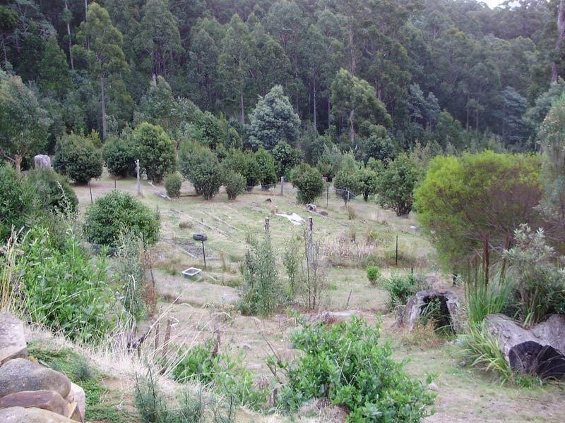 Lot 1 Tobys Hill Road, Cygnet TAS 7112