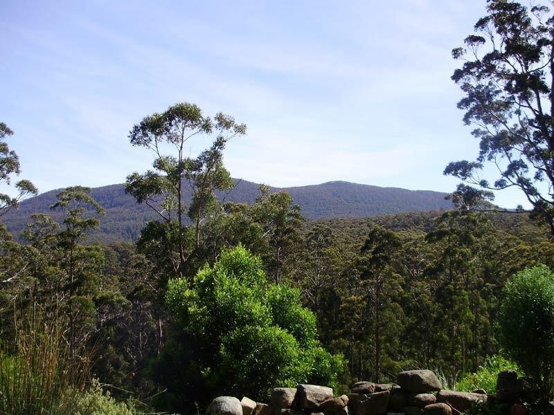 Lot 1 Tobys Hill Road, Cygnet TAS 7112