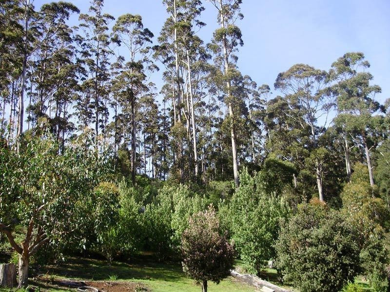 Lot 1 Tobys Hill Road, Cygnet TAS 7112
