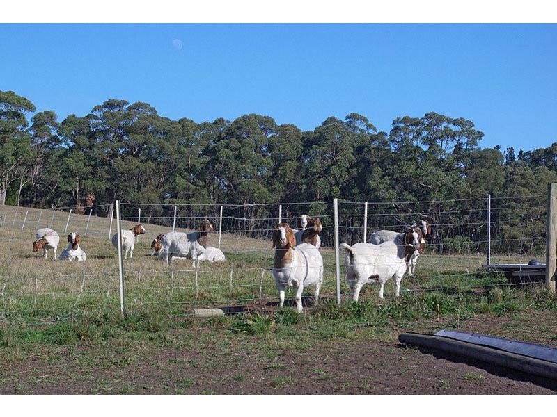 54 Turners Road, Cradoc TAS 7109