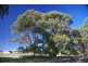 54 Turners Road, Cradoc TAS 7109