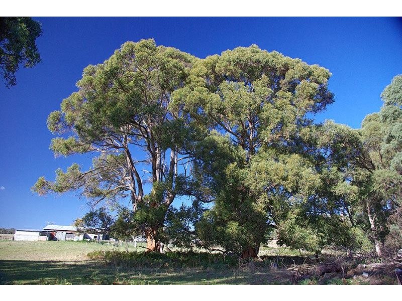 54 Turners Road, Cradoc TAS 7109