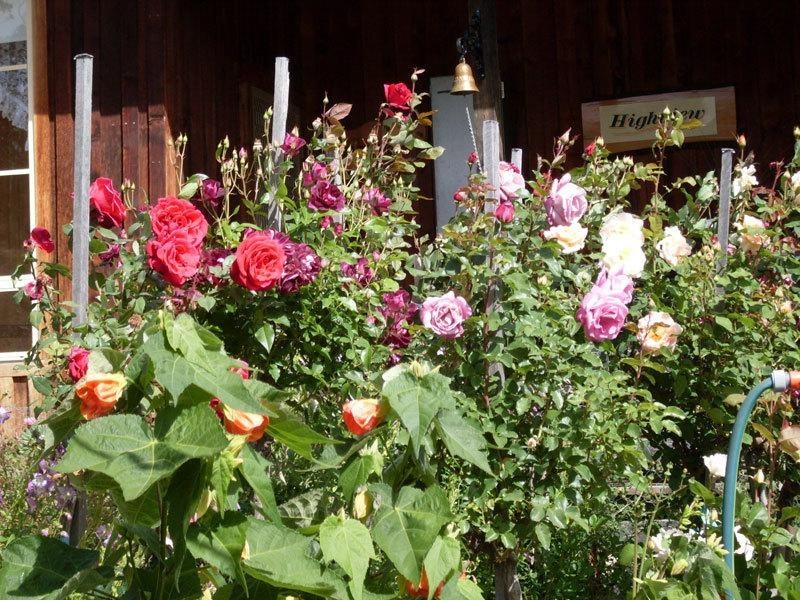 1471 Pelverata Road, Pelverata TAS 7150