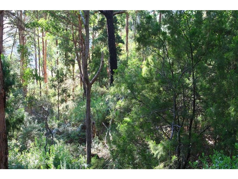 85 Glen Huon Road, Huonville TAS 7109