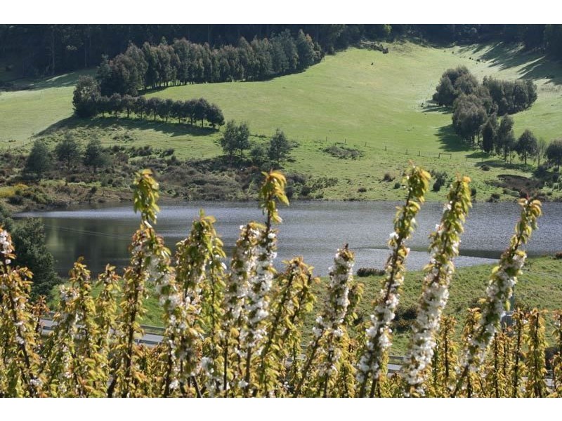 7891 Channel Highway, Cygnet TAS 7112