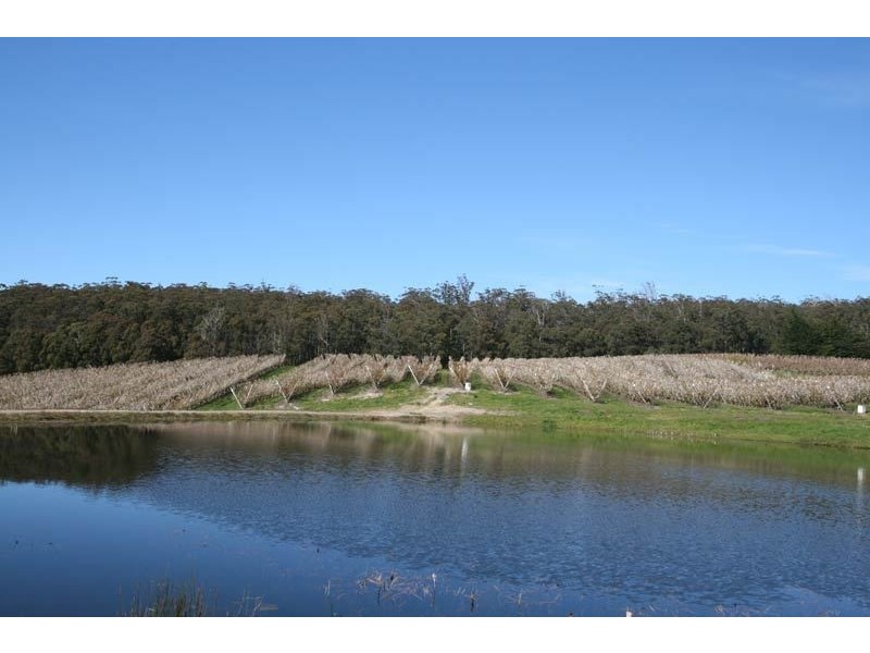 7891 Channel Highway, Cygnet TAS 7112