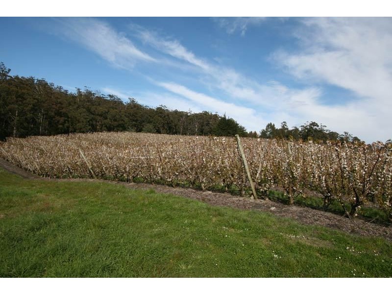 7891 Channel Highway, Cygnet TAS 7112