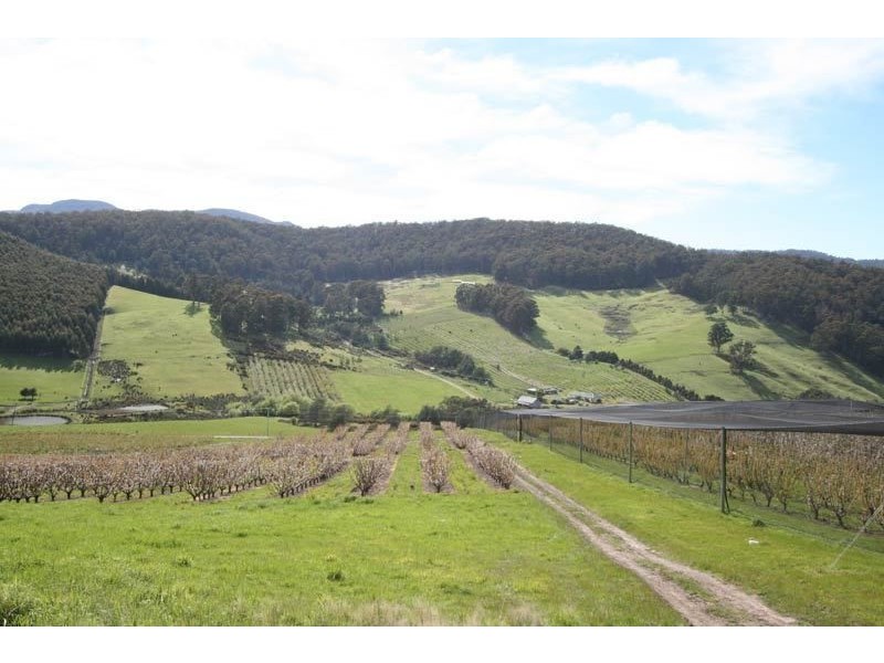 7891 Channel Highway, Cygnet TAS 7112