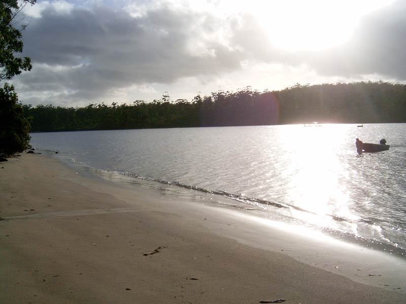 . Recherche & Hastings Bay, Recherche TAS 7109