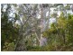 1686 Cygnet Coast Road, Cradoc TAS 7109