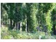 Lot 2 Eva Gully Road, Brooks Bay TAS 7116