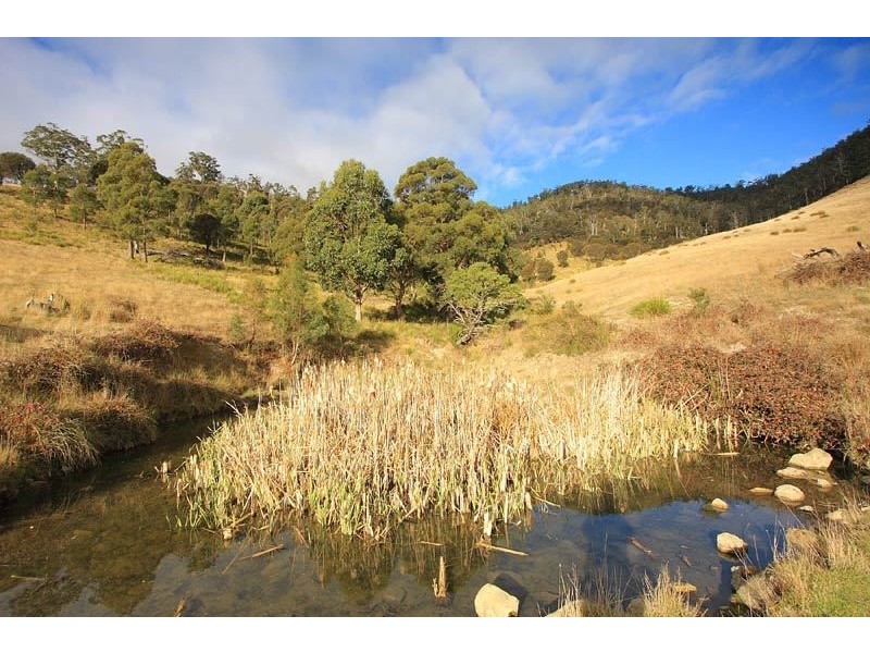 289 She Oak Road, Judbury TAS 7109