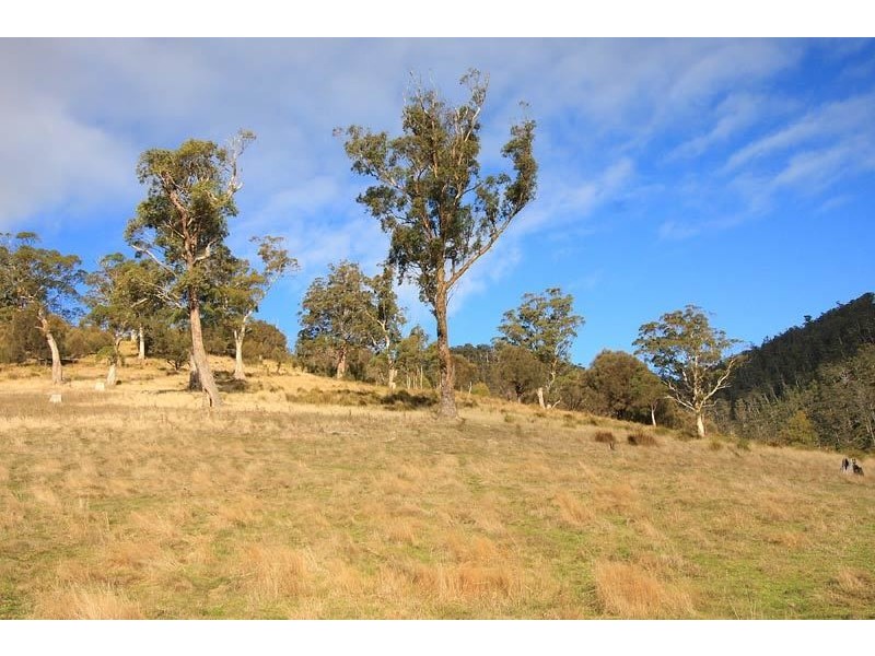 289 She Oak Road, Judbury TAS 7109