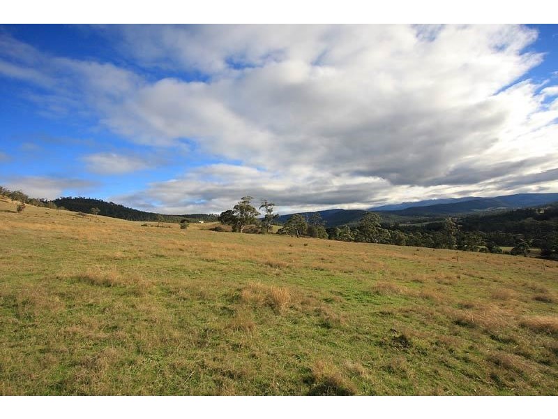 289 She Oak Road, Judbury TAS 7109