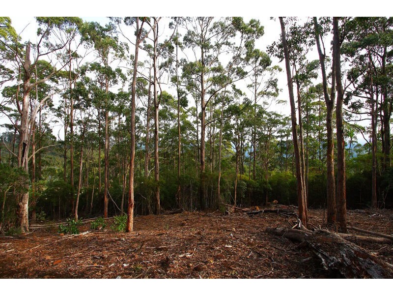 Lot 1 Bermuda Road, Glen Huon TAS 7109