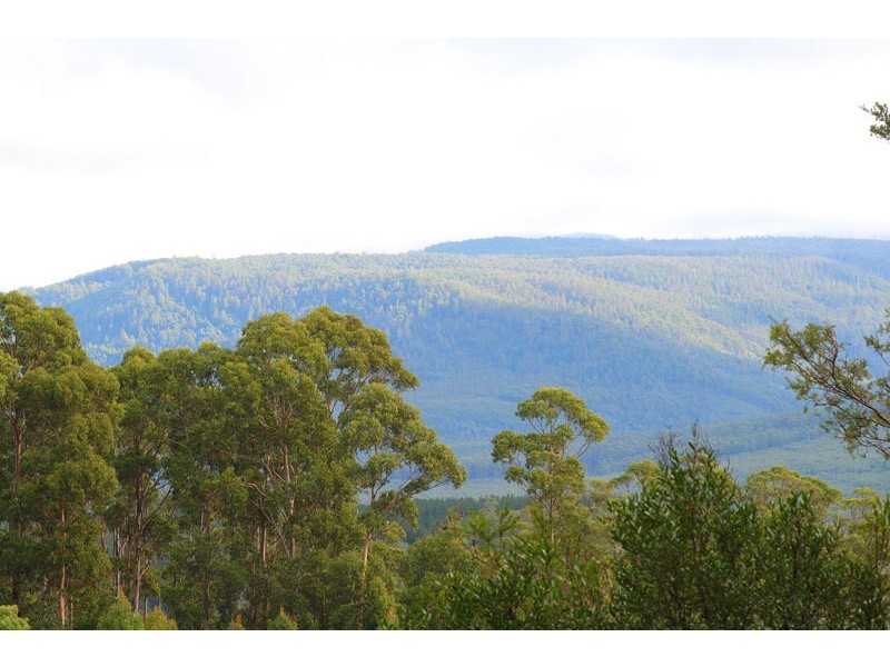 Lot 1 Bermuda Road, Glen Huon TAS 7109