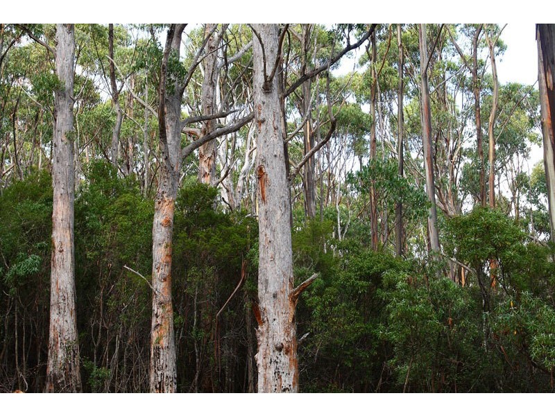 Lot 1 Bermuda Road, Glen Huon TAS 7109