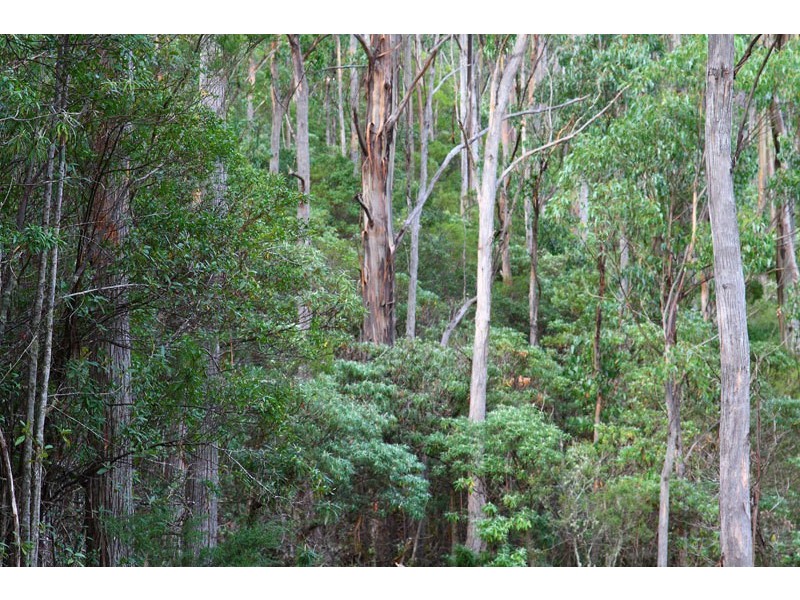 Lot 1 Bermuda Road, Glen Huon TAS 7109