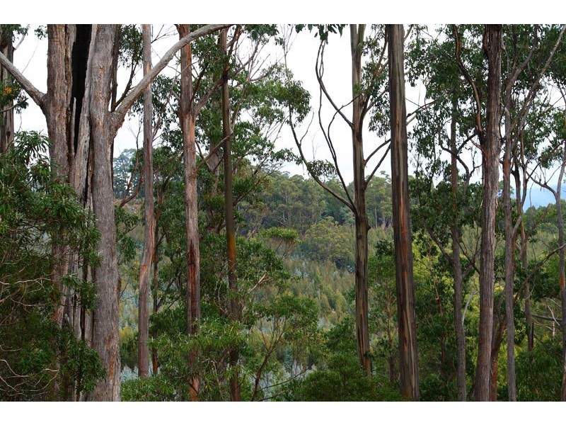 Lot 1 Bermuda Road, Glen Huon TAS 7109