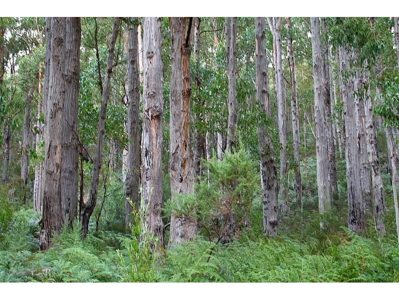 Lot 1 Pelverata Road, Pelverata TAS 7150