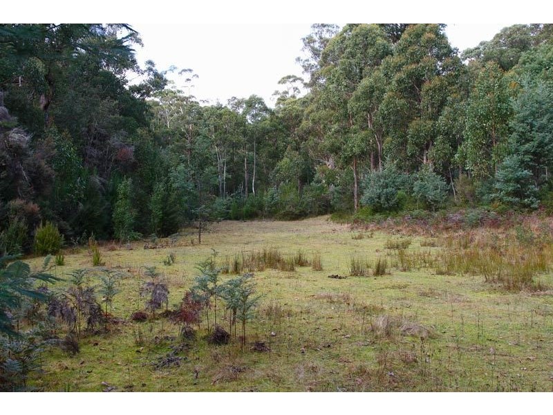 Lot 1 Pelverata Road, Pelverata TAS 7150