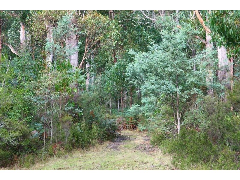 Lot 1 Pelverata Road, Pelverata TAS 7150