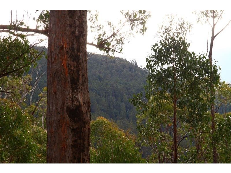 Lot 1 Pelverata Road, Pelverata TAS 7150