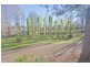 38 Mountain River Road, Grove TAS 7109