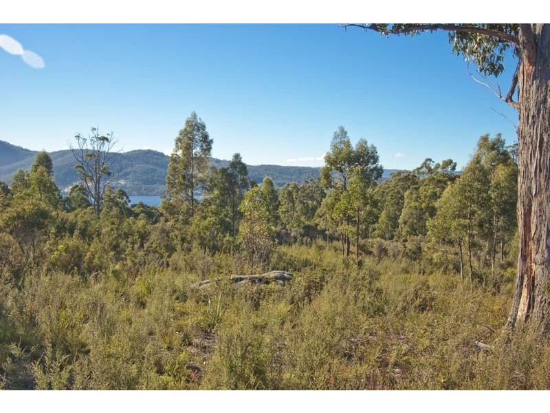 19 Stella Court, Surges Bay TAS 7116