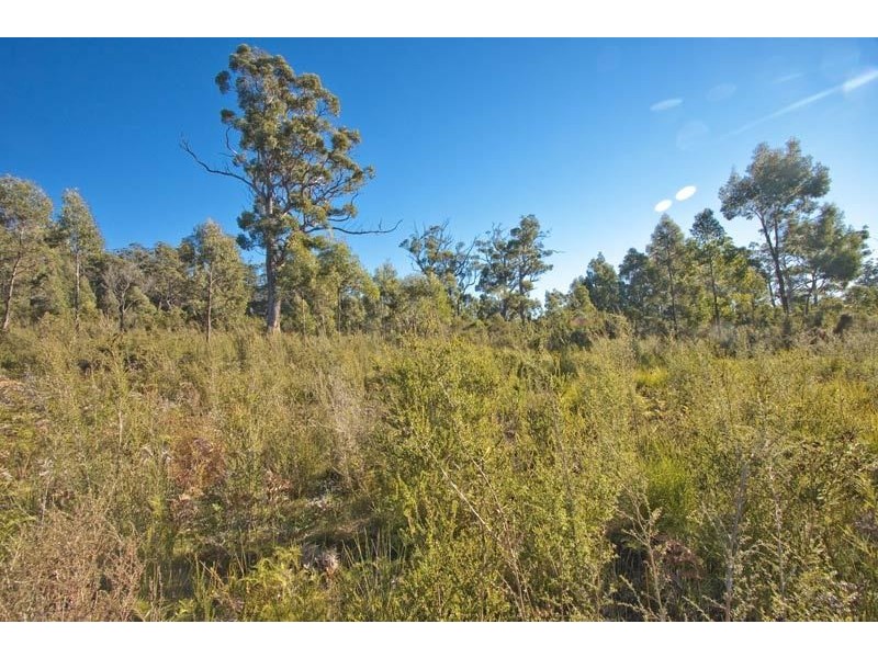 19 Stella Court, Surges Bay TAS 7116