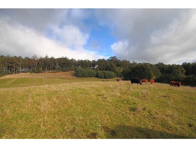 281 Arve Road, Geeveston TAS 7116