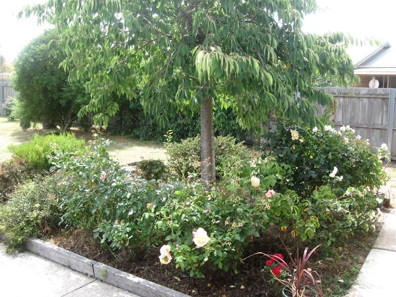 10 Hampton Court, Huonville TAS 7109