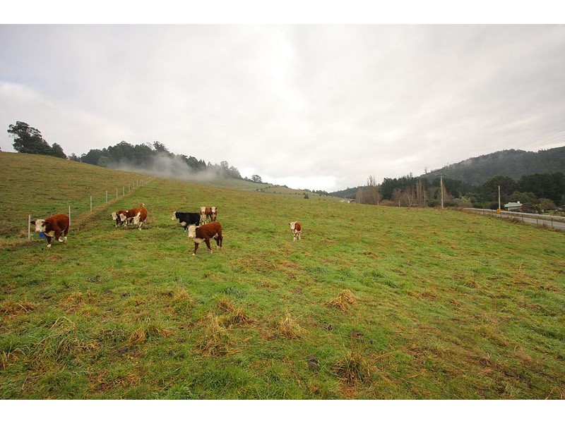 377 Arve Road, Geeveston TAS 7116