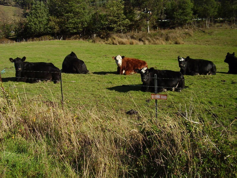 Lot 1 Reeves Lane, Dover TAS 7117